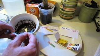 How to Use pH Litmus Strips to Measure pH in Vegetable Garden Soil  The Rusted Garden 2013 [upl. by Egag]