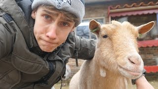 MIJN NIEUWE BESTE VRIEND  JOB VLOG 27 [upl. by Whiney]