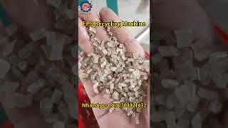 EPS Recycling Machine Providing You With EPS Foam Recycling Solutions [upl. by Eilitan]