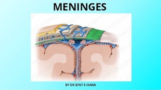 Meninges  Folds of Dura mater  Neurovascular supply  Neuroanatomy [upl. by Acessej]