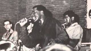 Otis Redding  Louie Louie [upl. by Grodin992]