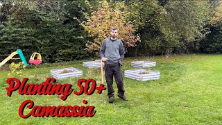 Working out by planting up Camassia Cottage Garden Vlog 11 [upl. by Kwapong]