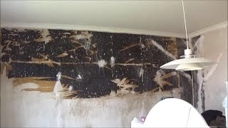 How to treat damp proof foil for papering [upl. by Jestude162]