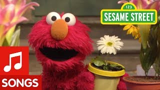 Sesame Street The Flower Song [upl. by Dahsar360]