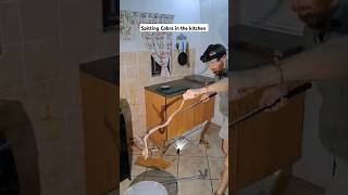 Spitting Cobra found in a KitchenDangerous situation cobra snake [upl. by Cence]