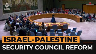 Calls to reform UN Security Council after US vetoes Gaza ceasefire  Al Jazeera Newsfeed [upl. by Rob]