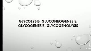 Glycolysis gluconeogenesis glycogenesis glucogenolysis [upl. by Lenz584]