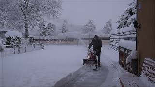 2023 12 02 SCHNAUZERL versinkt im SCHNEE [upl. by Stouffer]