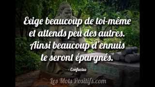 Citations et proverbes pour booster votre motivation [upl. by Toney683]