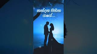 නන්දන සිහින ගගේ Nandana Sihina Gage Sangeeth Wijesooriya sangeethwijesooriya [upl. by Snowman]