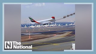 Reindeer take off with Emirates flight at Dubai airport [upl. by Lusa]