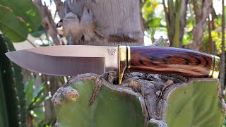 Buck Vanguard 192 420HC Walnut Dymondwood Knife Video [upl. by Nnylyahs]