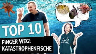 Finger Weg Diese Meerwasserfische sind eine Katastrophe für jedes Aquarium [upl. by Celtic]