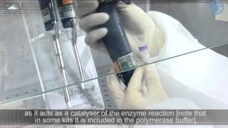 PCR Master Mix preparation and RTPCR [upl. by Leisam510]