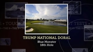 Tough Test The Blue Monster at Trump National Doral [upl. by Allebara]