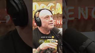 Joe on the Tony Hinchcliffe Trump Rally Backlash podcast trump jre shorts [upl. by Teddi]