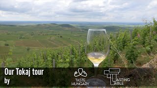 Taste Hungary Wine Tour to Tokaj [upl. by Akiret]