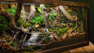 Realistic Indoor Meandering Creek Forest Biome Vivarium [upl. by Lladnew]