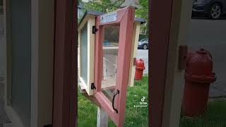 Put non book items into little libraries and in the park  Littering chicago reseller plush [upl. by Alket]