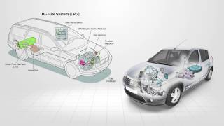 LPG Vapour System Overview [upl. by Naor287]