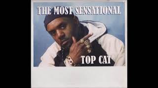 Top Cat  The Most Sensational [upl. by Thorin181]