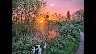 Beeston Marina to Attenborough Nature Reserve Walking Tour 4k 50 Min [upl. by Kepner]