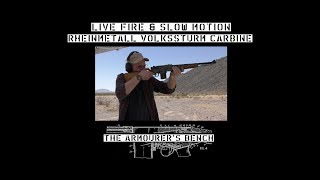 TAB Episode 21 Rheinmetall Volkssturm Carbine Live Fire [upl. by Atenek]