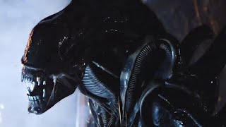 Ridley Scotts Reaction To New Alien Movie Revealed By Director [upl. by Vite]