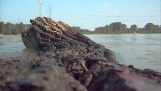 die Sandbank am Rhein [upl. by Alebasi146]