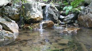 Petite cascade zenBruit de leau qui couleREAL LIFE RELAX [upl. by Ramal]