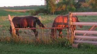 Wild Horses by Mazzy Star [upl. by Hedberg]