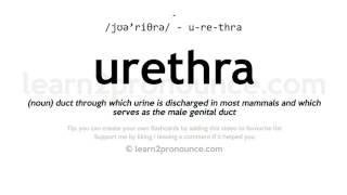 Urethra pronunciation and definition [upl. by Tanny425]