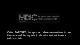 Carnegie Mellon Develops Targeted Photosensitizer for Cell Manipulation [upl. by Ellenad731]