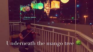 Underneath the mango tree violin cover 🌳 🎻 🎻 [upl. by Areval]