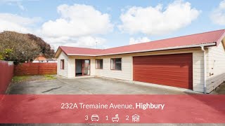 232A Tremaine Avenue Highbury Palmerston North Manawatu [upl. by Zelda]