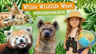 Wilde Wildlife Week  Voorjaarsvakantie 2024  DierenPark Amersfoort [upl. by Gaiser]