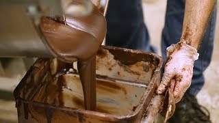 How Chocolate is Made [upl. by Dorthea]