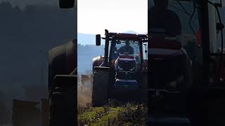 Case IH Optum 300 cvx  Lemekn EurOpal 8 [upl. by Phyllys213]