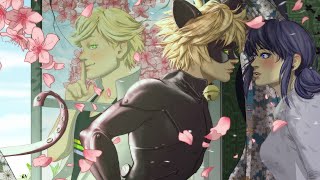 Dear Diary  Month 112 A Miraculous Ladybug Fanfiction MariChat Friends to Lovers Slow Paced [upl. by Delastre]