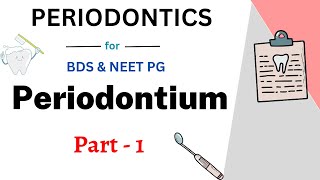 Periodontium Easy Dentistry  Lecture 1  Teethopedia [upl. by Eveline608]