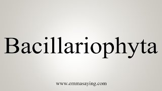 How To Say Bacillariophyta [upl. by Perrie777]