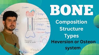 Bone tissue Structure and Composition MDCAT Biology Bone anatomy and Physiology Zia Academy [upl. by Adara]