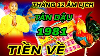 LUẬN GIẢI TỬ VI THÁNG 12 ÂM LỊCH  TÂN DẬU 1981 PHẬT ĐỘ  PHÁT TÀI CỰC MẠNH  ĐỔI ĐỜI CỰC GIÀU [upl. by Pacificas]