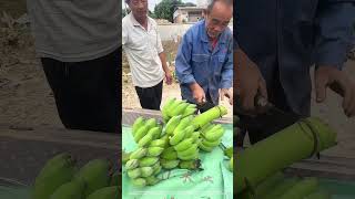 Cut Off Ripe Bananas Before Packing And Delivery [upl. by Renault]