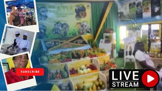 Denbigh Agricultural Show 2023 walkthrough [upl. by Aicirtap]