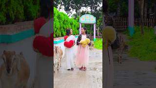 Golap Fuler Kata গোলাপ ফুলের কাঁটা new 2024 vairal song 🥀🥀🥀 [upl. by Ash]