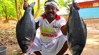 Bengali famous Sorshe Katla fish curry  Jamaibabu Special Katla fish curry  villfood Kitchen [upl. by Kinghorn874]