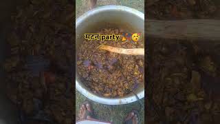 muttan party in my jungle bollywood song viralshort viral shorts tranding [upl. by Lelia982]