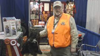 HuntEmUpcom  The Boykin Spaniel from Pheasant Fest [upl. by Gavriella]