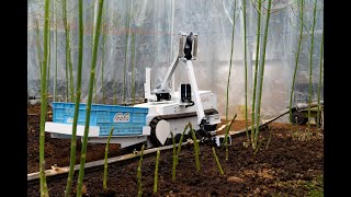 inaho Inc ❘ autonomous asparagus harvesting robot ver3 [upl. by Asemaj]